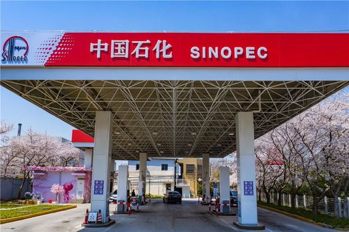 中國石化37周年慶 在能源領(lǐng)域譜寫華章，租賃市場見證發(fā)展足跡